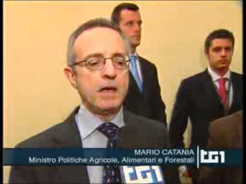 Guarda il video