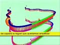 PCR (video obtenido de Roche) y subt�tulos en castellano