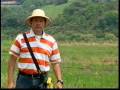 videos de Conservacion de Aves Playeras Migratorias en arroceras