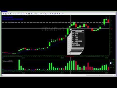 Investors underground forex