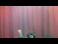 Pereza - Señor kiosquero