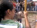 La novateada de Pinocho