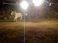 jaripeo en zaachila oaxaca (fuerte caida)