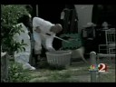 abused-birds-and-dogs-wesh-2-news.html