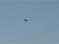 Ju 88