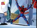 Spider-man TAS: Spider Carnage Tribute Spider-man TAS: Spider Carnage Tribute