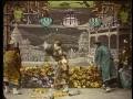 Lebende Blumen - Living Flowers Stummfilm silent movie