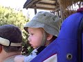 Cal at Wild Animal Park