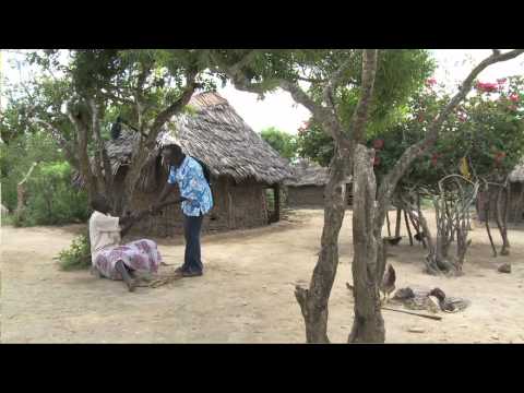 how to cure elephantiasis