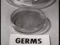 What You Should Know About Biological Warfare