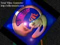 THE CHAMELEONS - FANTASTIC 80