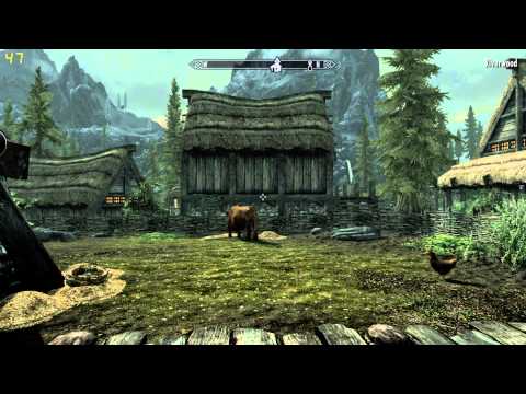 how to draw fps on skyrim