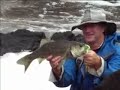 Clarence River bass fishing