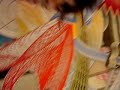 Overcolor - Introducion to Frank Stella