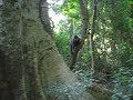 ooooos macaco