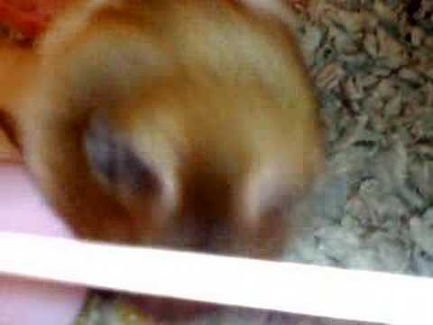 Chloe eating