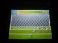 Fifa 2008 Nintendo DS Gameplay 