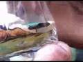 videos de Sand_art