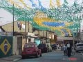 puera pinturas