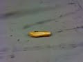 Annihilate ur roll. Pt.1