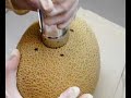 Growing Handling & Shipping CA Cantaloupes Part 2