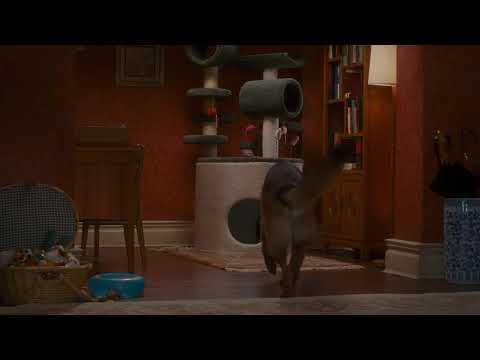 The Revenge of Kitty Galore: A Dog In "Meows" HQ and Kitty Galore Video Analysis
