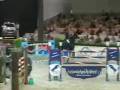 Jumping with a mix of Dressage in it