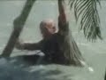 Tsunami Videos Part Three