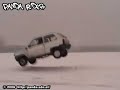 パンダ動画