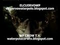 Mladost 6 - Pro Recco 9 Final Four 08 Semifinal water polo