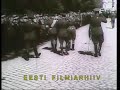Vabadusristi vendade 15. aastap�eva paraad 1934