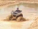 Red-Creek-Muddin