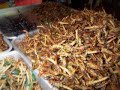 Wiesl Jr Tours: Thailand - Bangkok city khao san road