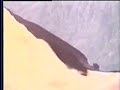 Michael Jackson - Kirara Basso Desert Commercial (1st)