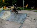 Team jackass