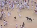 Pamplona Bull Run, the Vaquilla