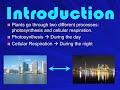 Photosynthesis and Cellular Respiration by Phillipe and Angela