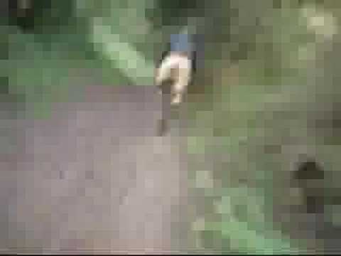 cinderella trail