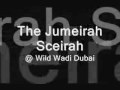 Dubai Wild Wadi Water Slide - 1st Person View!