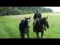 Handpaard rijden Handpaard rijden