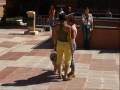 Clase con Turid Rugaas