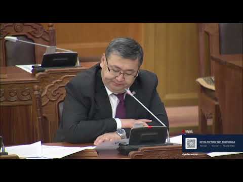 Б.Энхбаяр: "Гэрийн тэжээвэр амьтны тухай хууль" нь зөвхөн амьтан биш хүнтэй холбоотой хууль юм