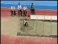 Saladino 8.31
