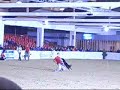 Discdogging German Open Westernreiten 2007