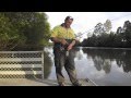 How to catch Logan River Bull Sharks