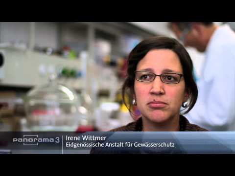 Panorama 3 - Fassadengifte