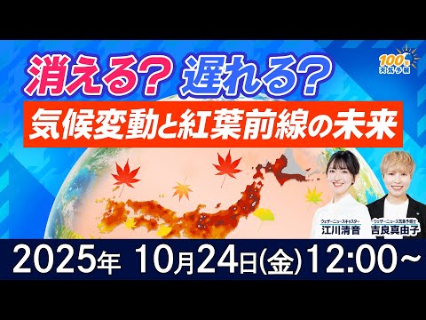 【気候変動番組】100年天気予報~消える?遅れる?気候変動と“紅葉前線”の未来~/2025年10月24日(金)12:00~/江川清音・吉良真由子