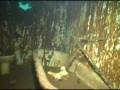 videos de Bell Island Shipwrecks