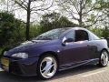 shibby's tigra
