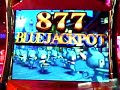 ?????????BLUEJACKPOT??? ?????????BLUEJACKPOT???